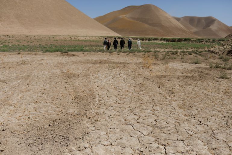 Champ desséché dans la province de Balkh, Afghanistan, août 2023