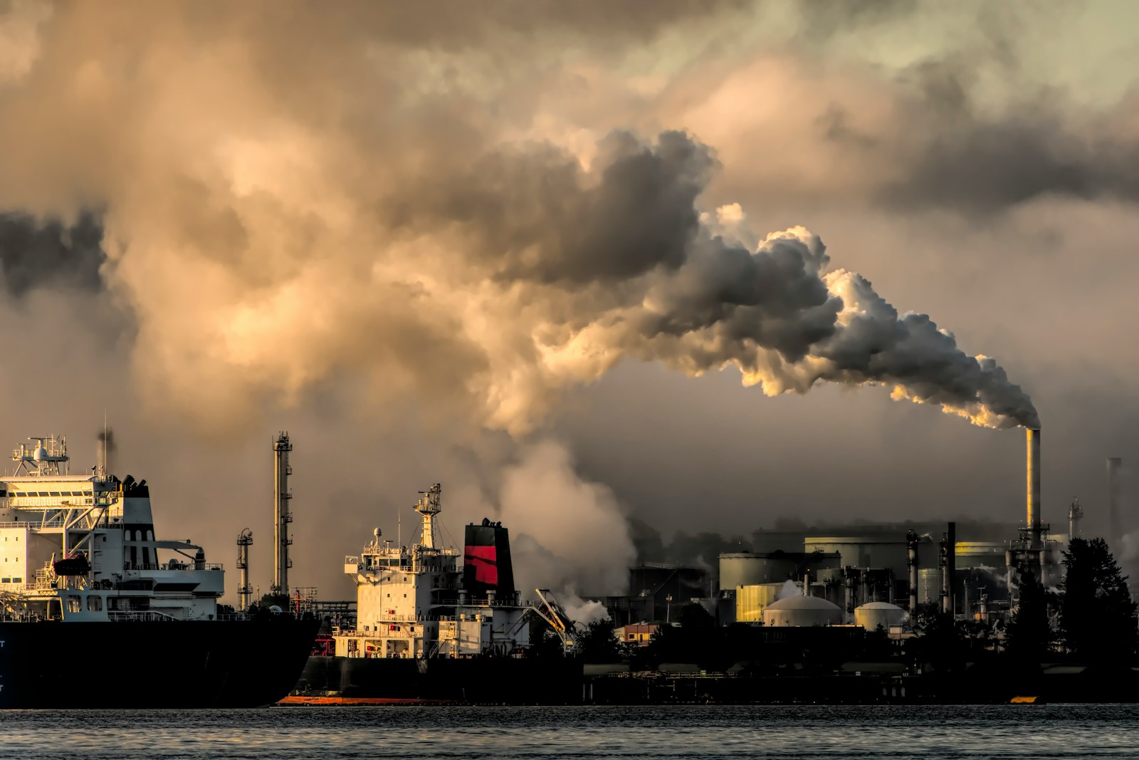 Niveaux mondiaux de CO₂ en 2024 selon l’OMM