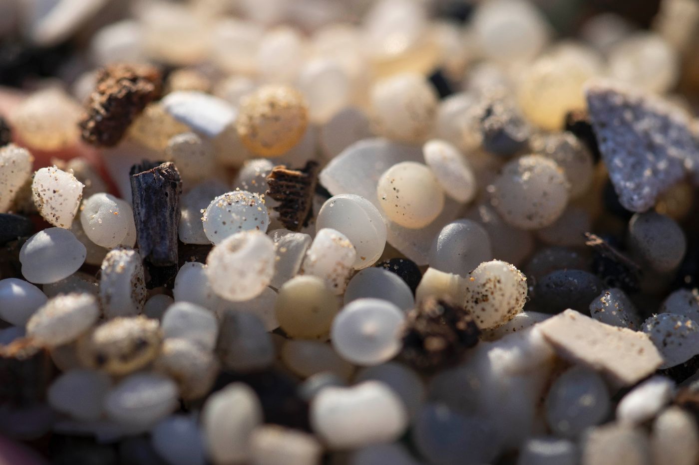 Granules plastiques industriels échoués sur la plage