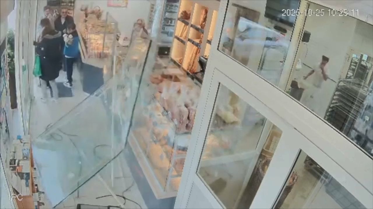 Sanglier fonce dans la vitrine d'une boulangerie