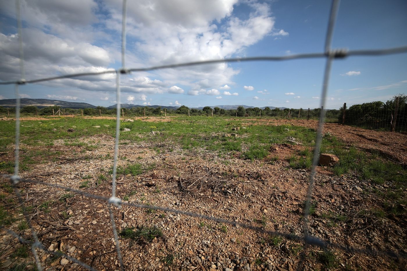 Ossements potentiels identifiés à Rivesaltes, Harkis
