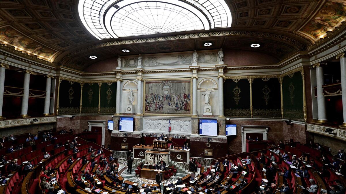 Assemblée nationale durant les débats sur la fin de vie