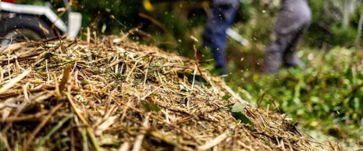 Benne de collecte sur la place François-Mitterrand