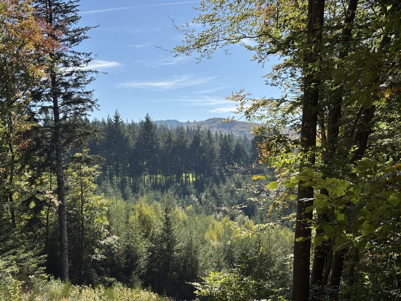 Carte météo Puy de Dôme du jour