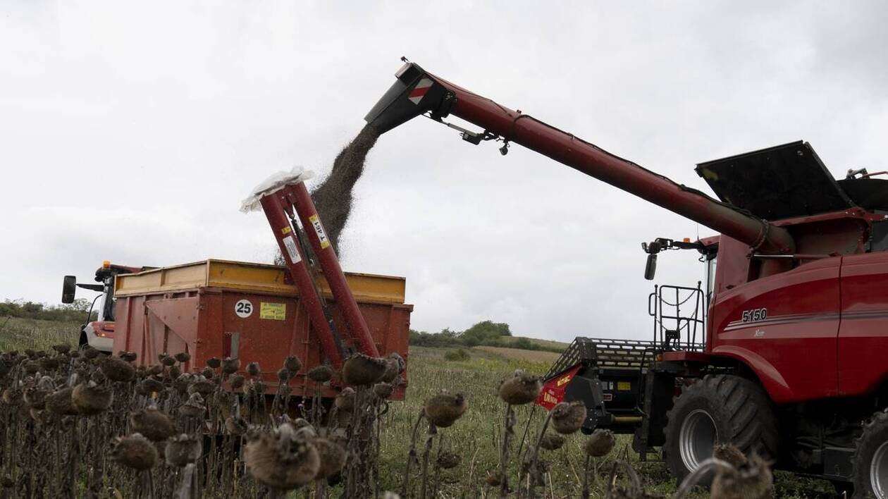 Évaluation européenne EFSA et sécurité des aliments